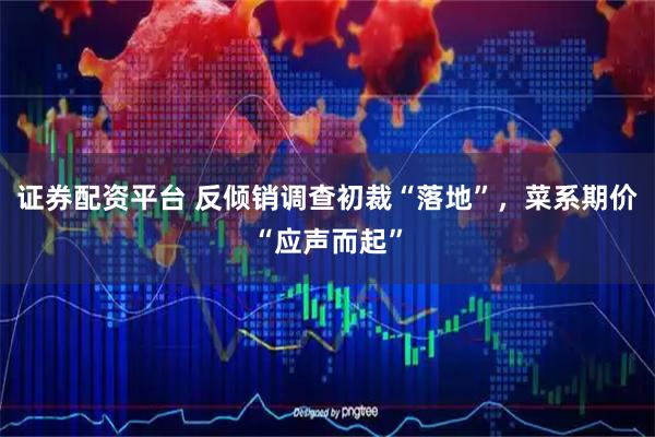 证券配资平台 反倾销调查初裁“落地”，菜系期价“应声而起”